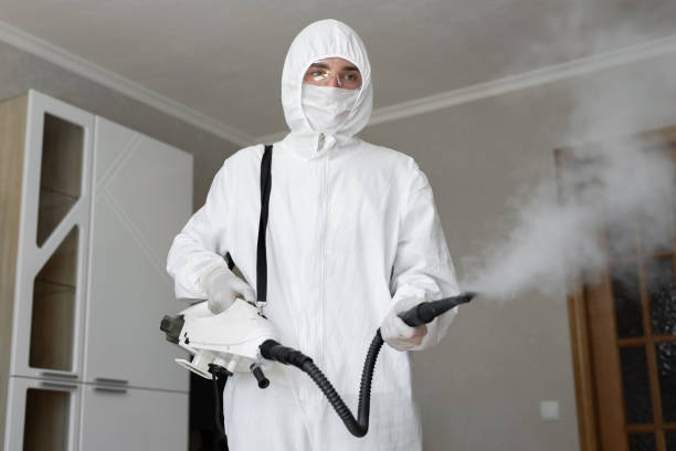 Best Biohazard Mold Removal  in Savannah, TX